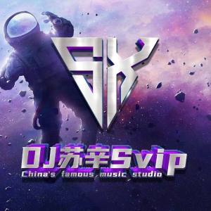 苏辛Edit-（中文 ProgHosue Mix）