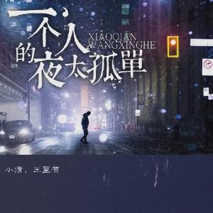 小倩 、王星贺-一个人的夜太孤单(DJ沈念 2020 Remix)