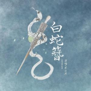 衡小只-白蛇簪(DJ沈念 2020 Remix)