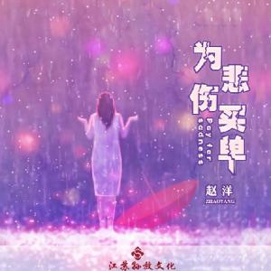 赵洋 - 为悲伤买单(DJ大金 Remix)