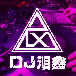 刘佳 - 一个人走（DJ泪鑫 Electro Mix 国语男）