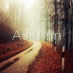 抖音LJY - Autumn （秋）