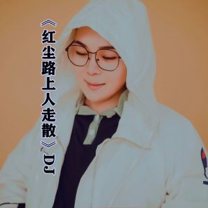 莺歌-红尘路上人走散(DJ阿能版)
