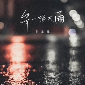苏星婕-等一场大雨(JIANG.x、假面曲神 Remix)