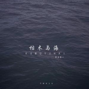 零柒零一 - 枯木与海(DJ沈念 ProgHouse Mix)开场版