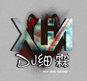 采薇薇 - 风中有朵雨做的云(DJ细霖 Electro Mix)粤语